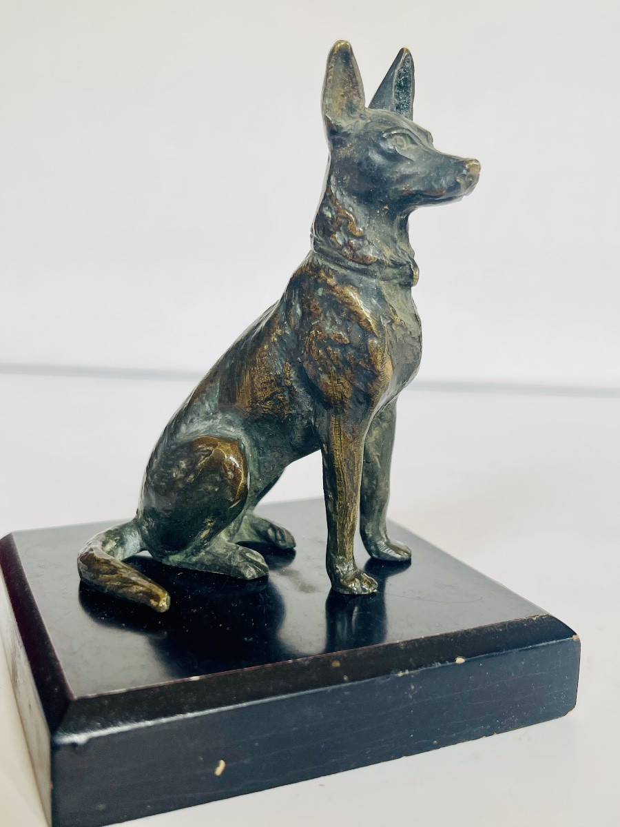 German Bernier Dog In Bronze -photo-4